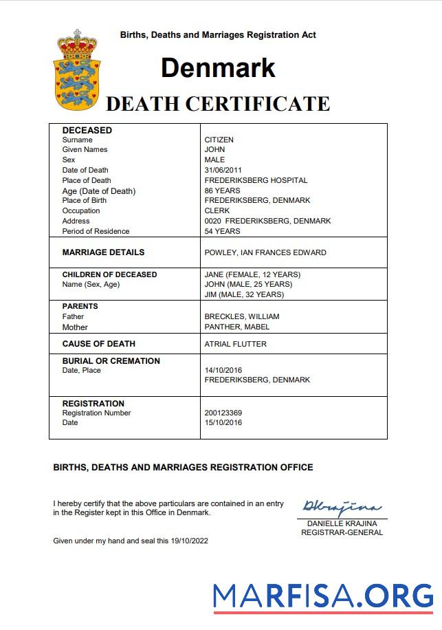 Blank Denmark vital record death certificate Word and PDF template